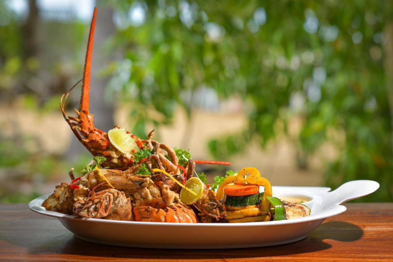 Kitesurfing Lanka Hotel Kalpitiya Exterior photo